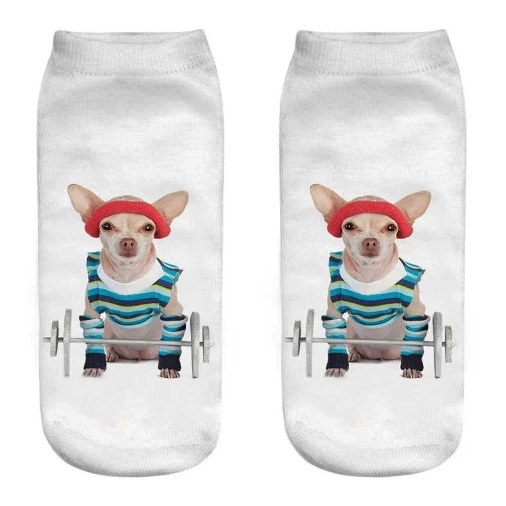 Girl Teen Socks Chihuahua Dog Weight Lifting Whimsical Read Size New Free Ship